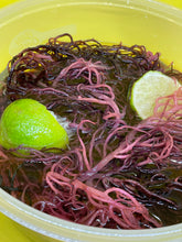 Load image into Gallery viewer, Purple Raw Sea Moss