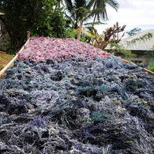 Load image into Gallery viewer, Purple Raw Sea Moss